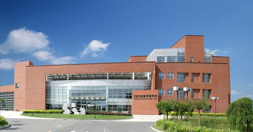 深瞳丨一场赌局里的科学家 教育科技领域的技术开发博弈